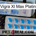 Vigra Xl Max Platinum new15